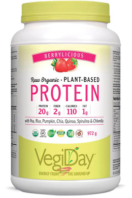 VEGIDAY Protein - Very Berry (972 g)